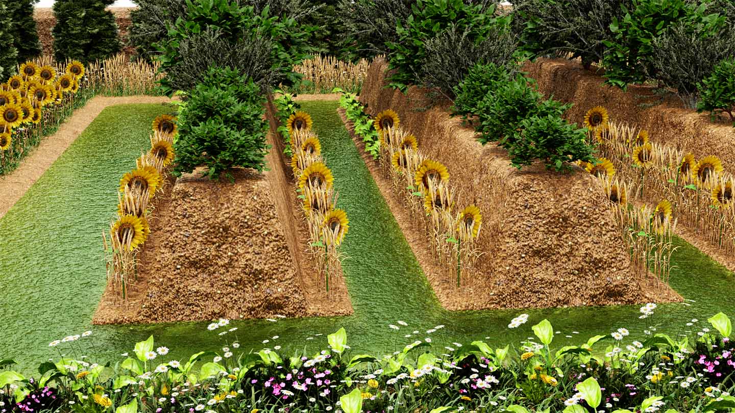 Inside the permaculture system