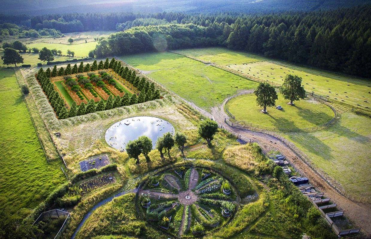 The permaculture system in context