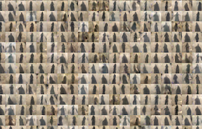 Fake_Shadows_By_StyleGAN