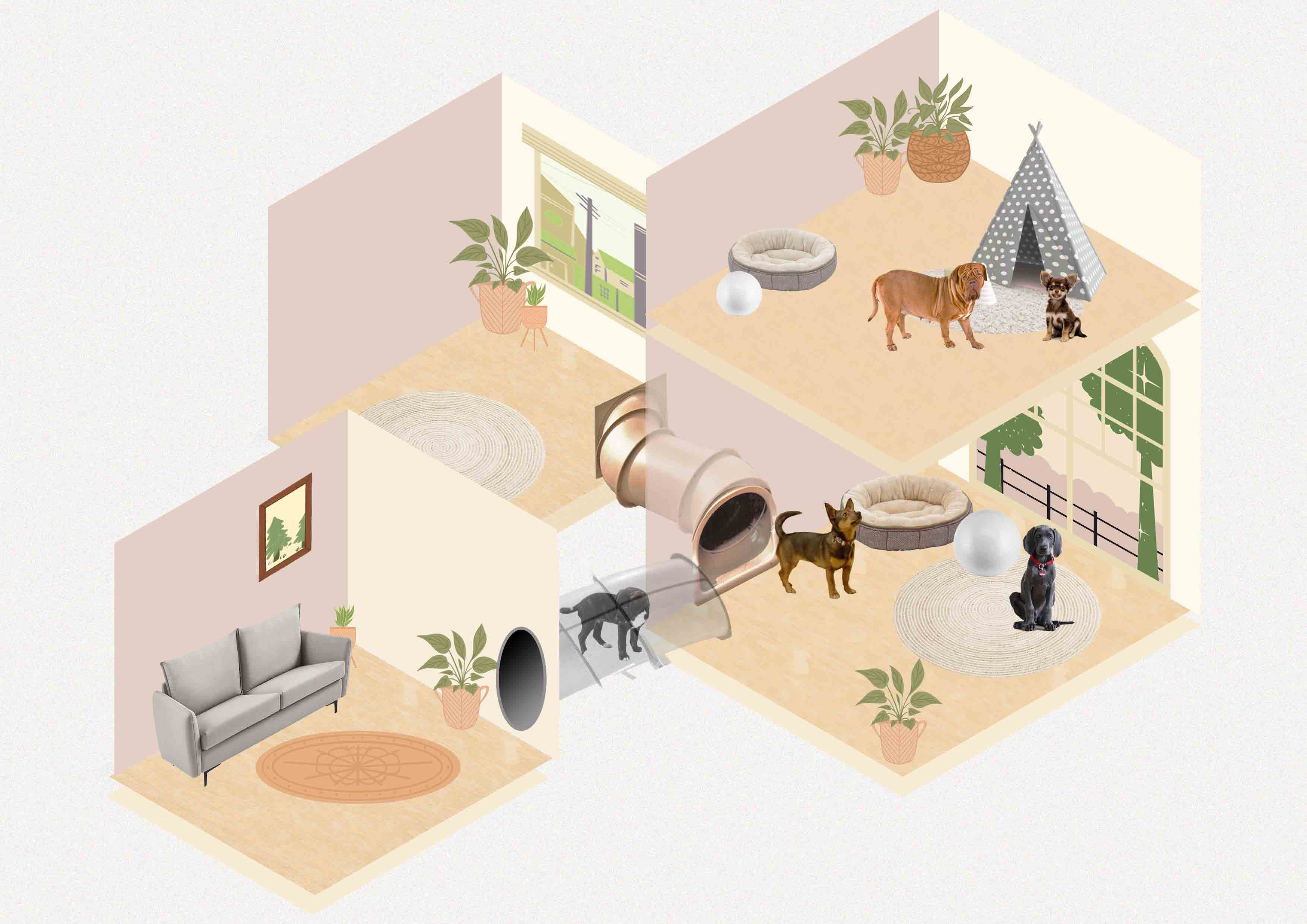 In this scenario, people will use contraception instead of sterilization, and therefore begin to accept and give dogs rights of social contact. Dogs also need to meet the same kind in their life. Nowadays, families with dogs tend to choose a location closer to the pet hospital when choosing their address. After liberating the dogs’ rights of social contact, people will also tend to be close to other dog-raising families, which will gradually form a community, the dogs will have their own common room. The do