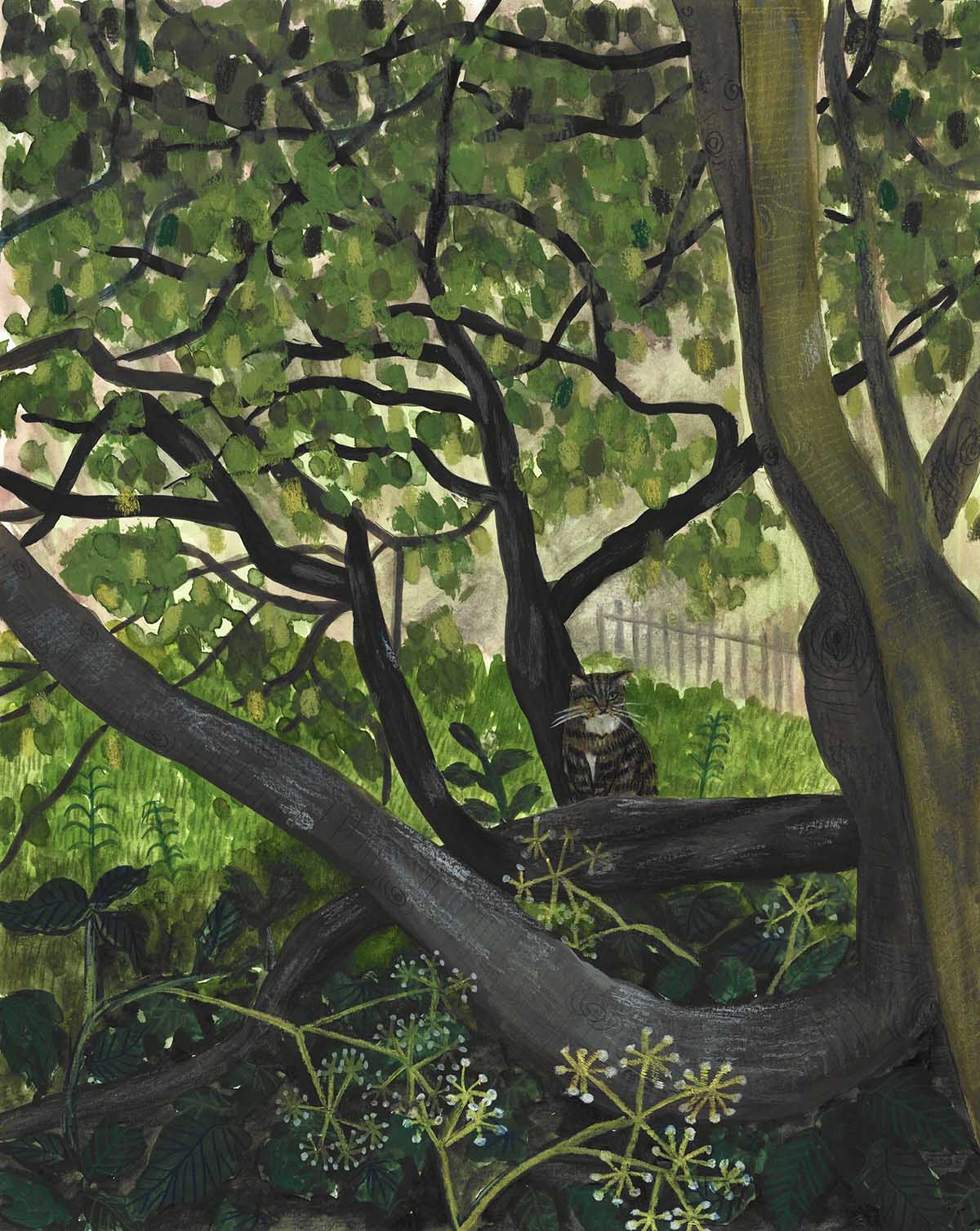 Between the Branches