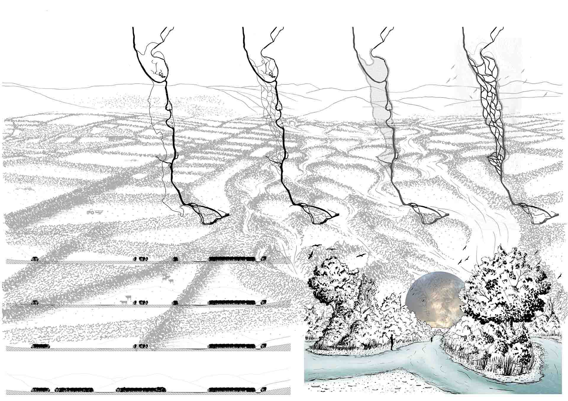 Conon river - Renaturalisation into braided river -