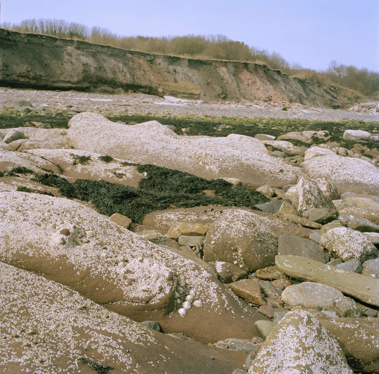 Landscape photography of Michael Colliery spoil tip