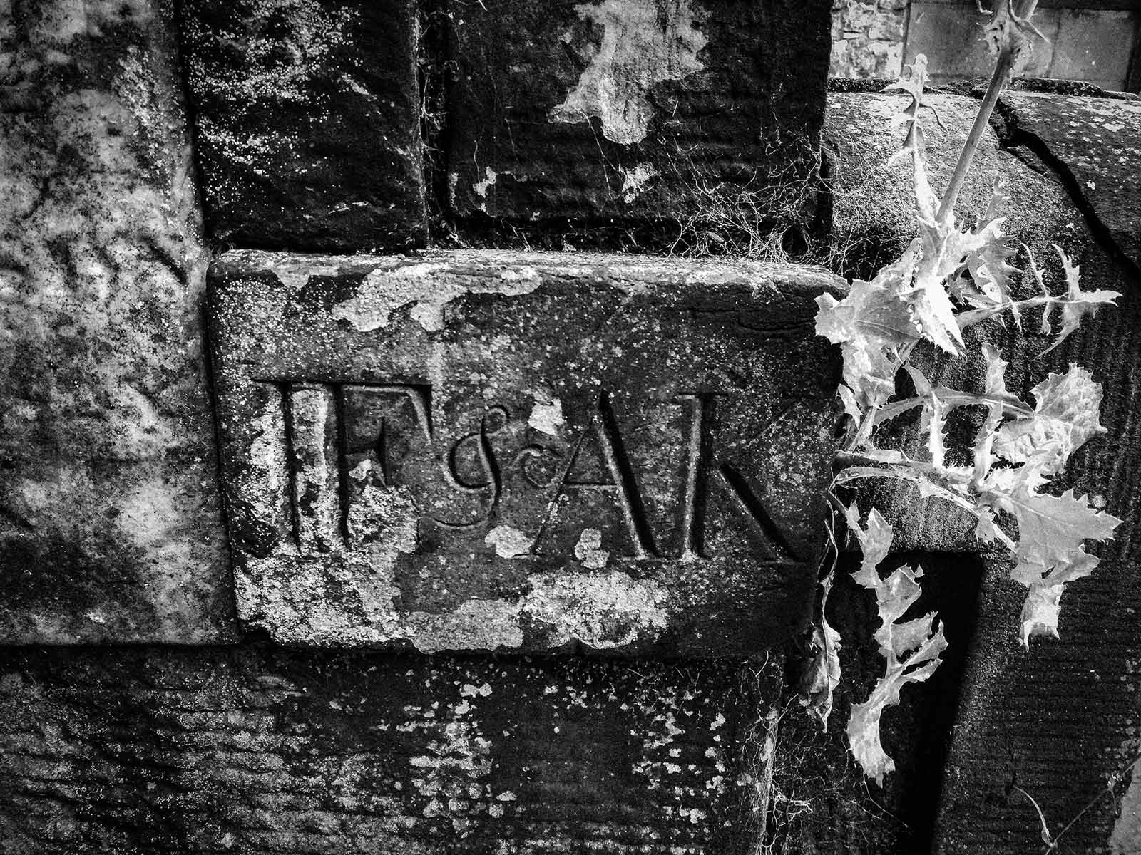 Greyscale photograph of a brick inside a wall containing serif text "IF & AK" with weeds sticking out on the right side of the wall.