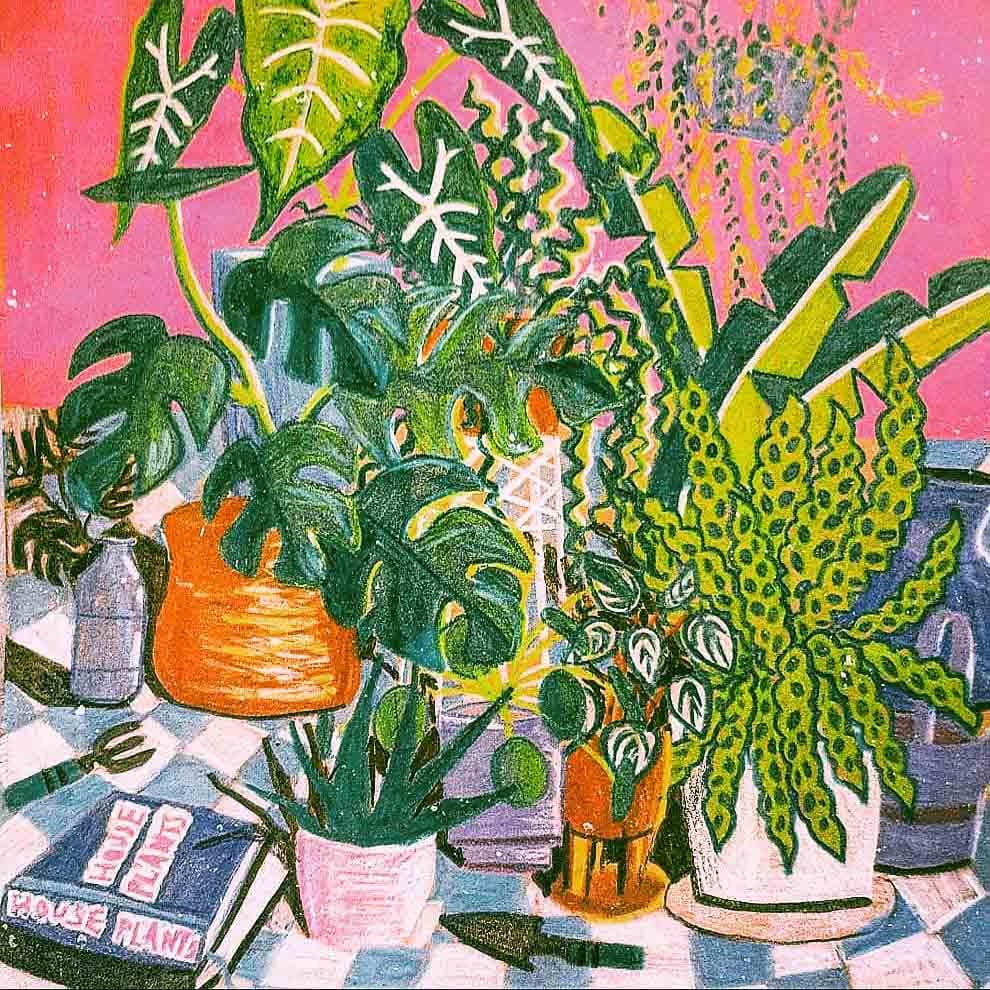 Coloured pencil illustration of Houseplants against a pink wall and a tiled floor.