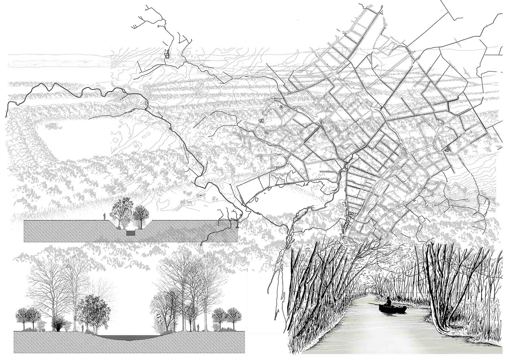 Marshland - A new balance between agriculture and ecological habitat -