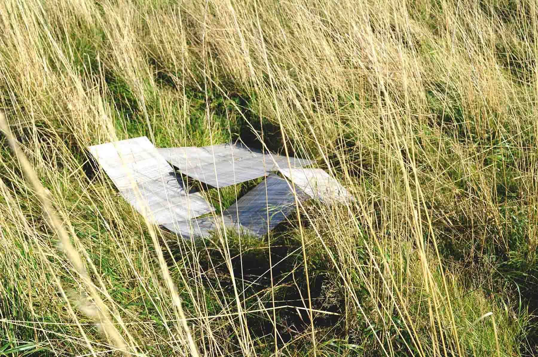 9 flooring tiles placed together in long grass