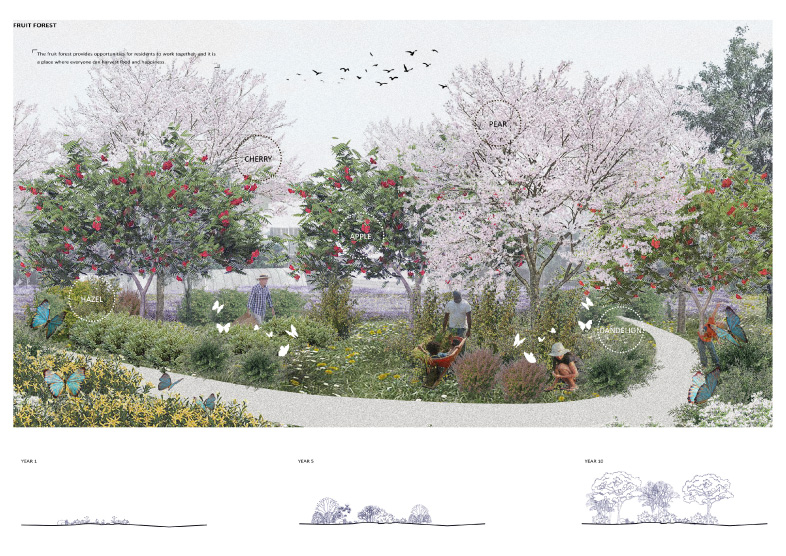 VISUAL OF FRUIT FOREST