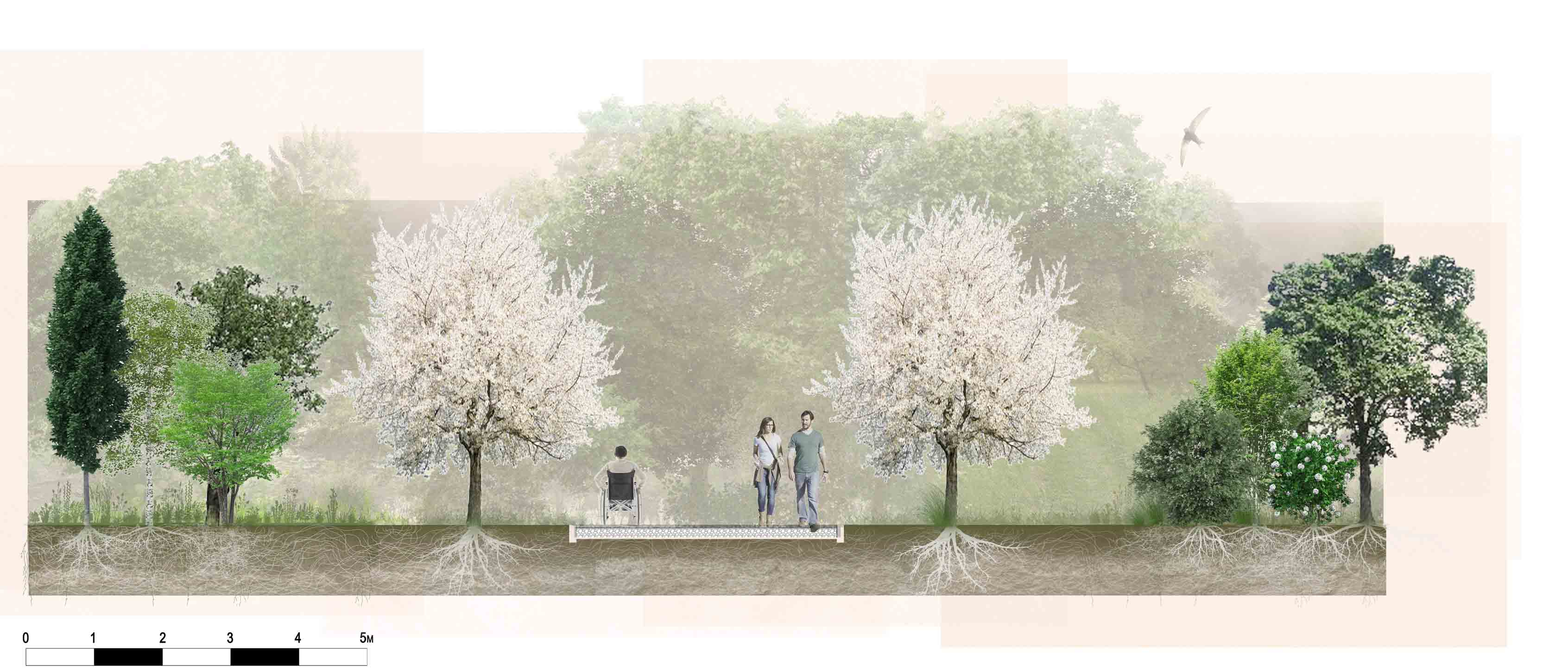 Cherry Walk between Miyawaki Forest and natural regeneration area