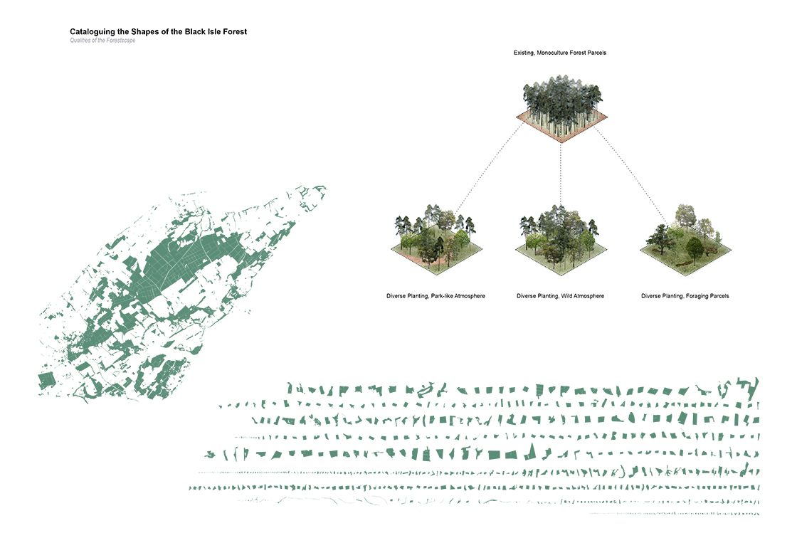 By cataloguing the shapes of the existing Black Isle forest, it becomes evident that much of what exists is in a gridded, parcel-like format, allowing the maximum economic value for  harvesting to be accounted for, as well as the ease of  removal, over ecological or aesthetic purposes.  Challenging these existing conditions, diversification strategies will be implemented, allowing for different atmospheres and uses across the Black Isle.