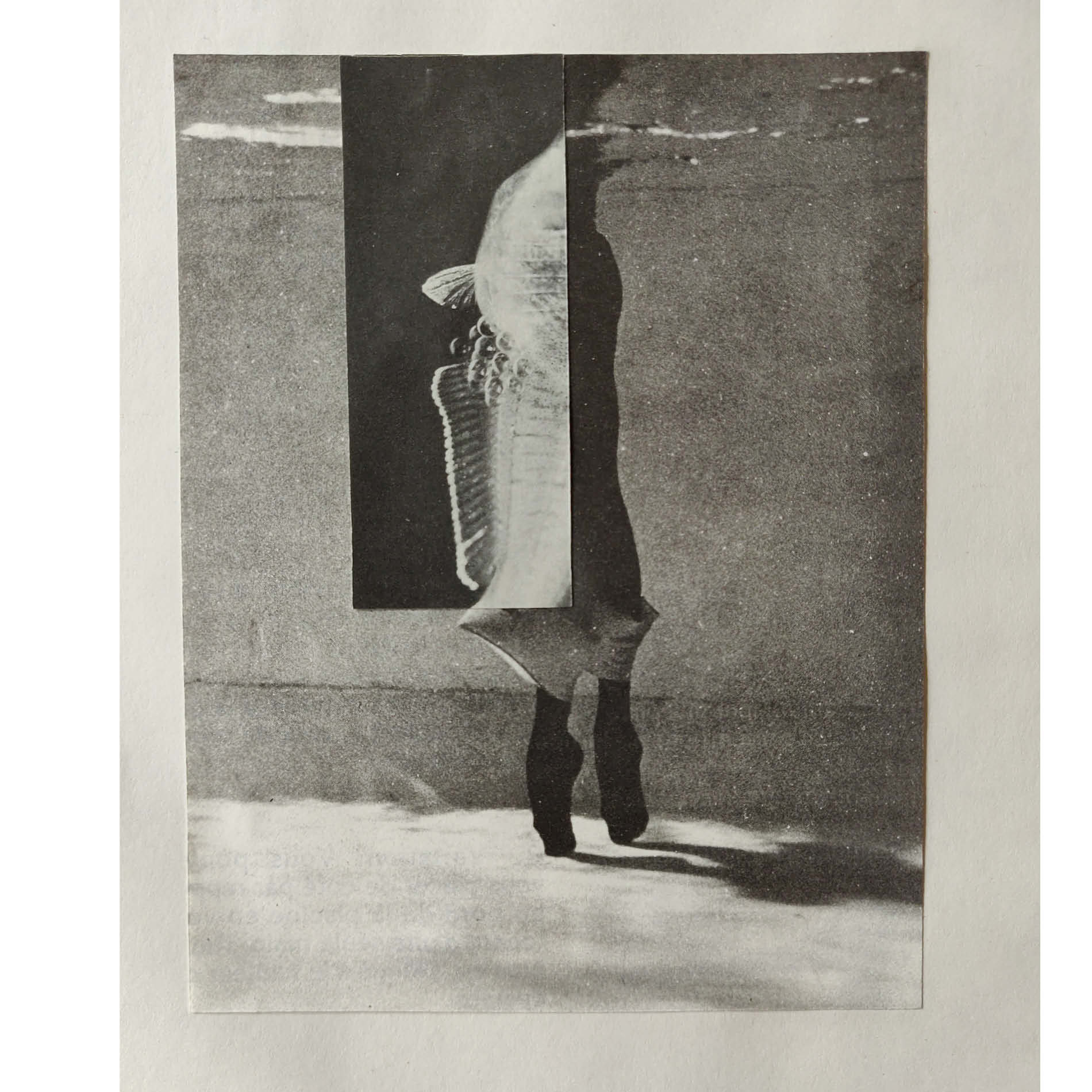 Forms of Life. Collage, May 2020. France