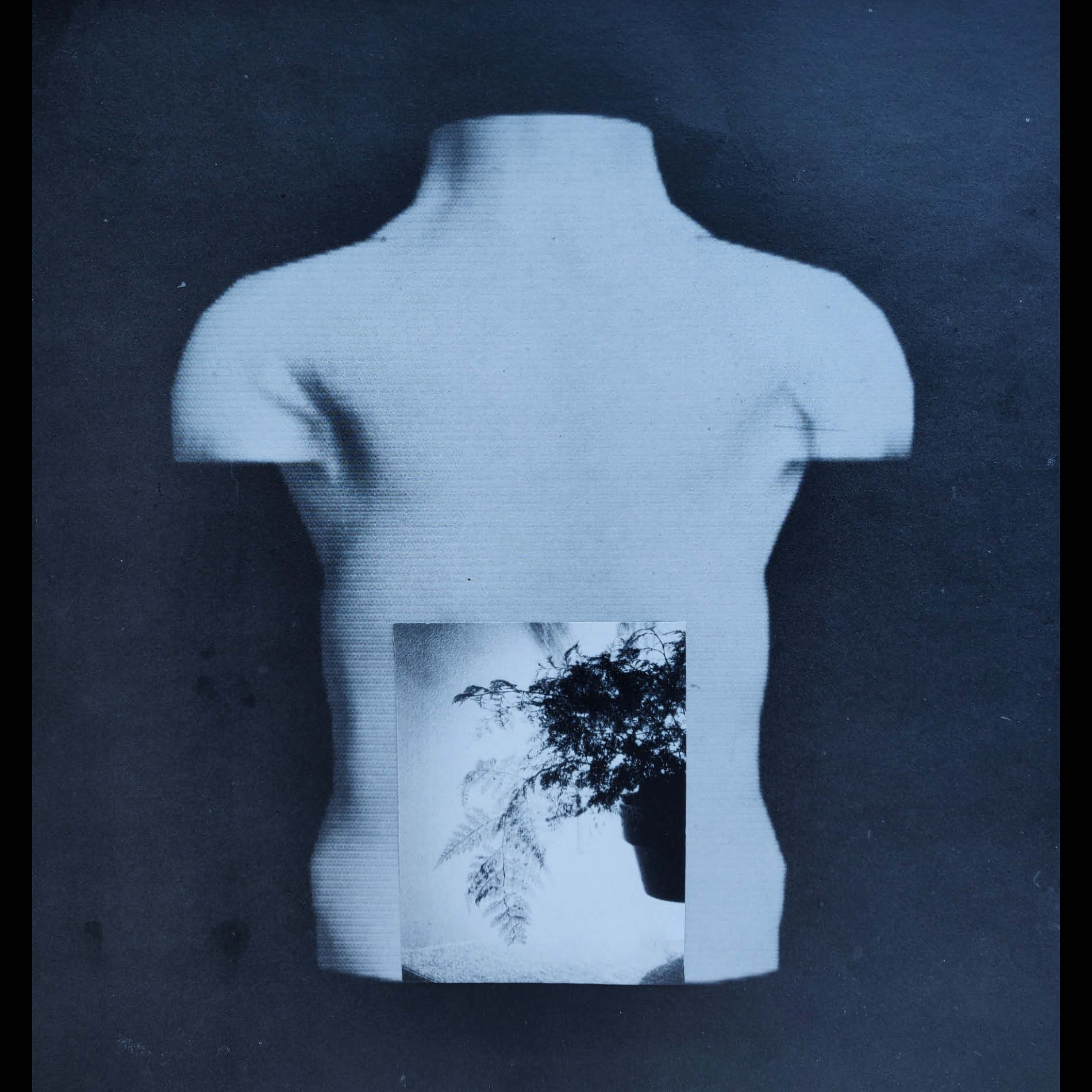 Media body. Collage, October 2019