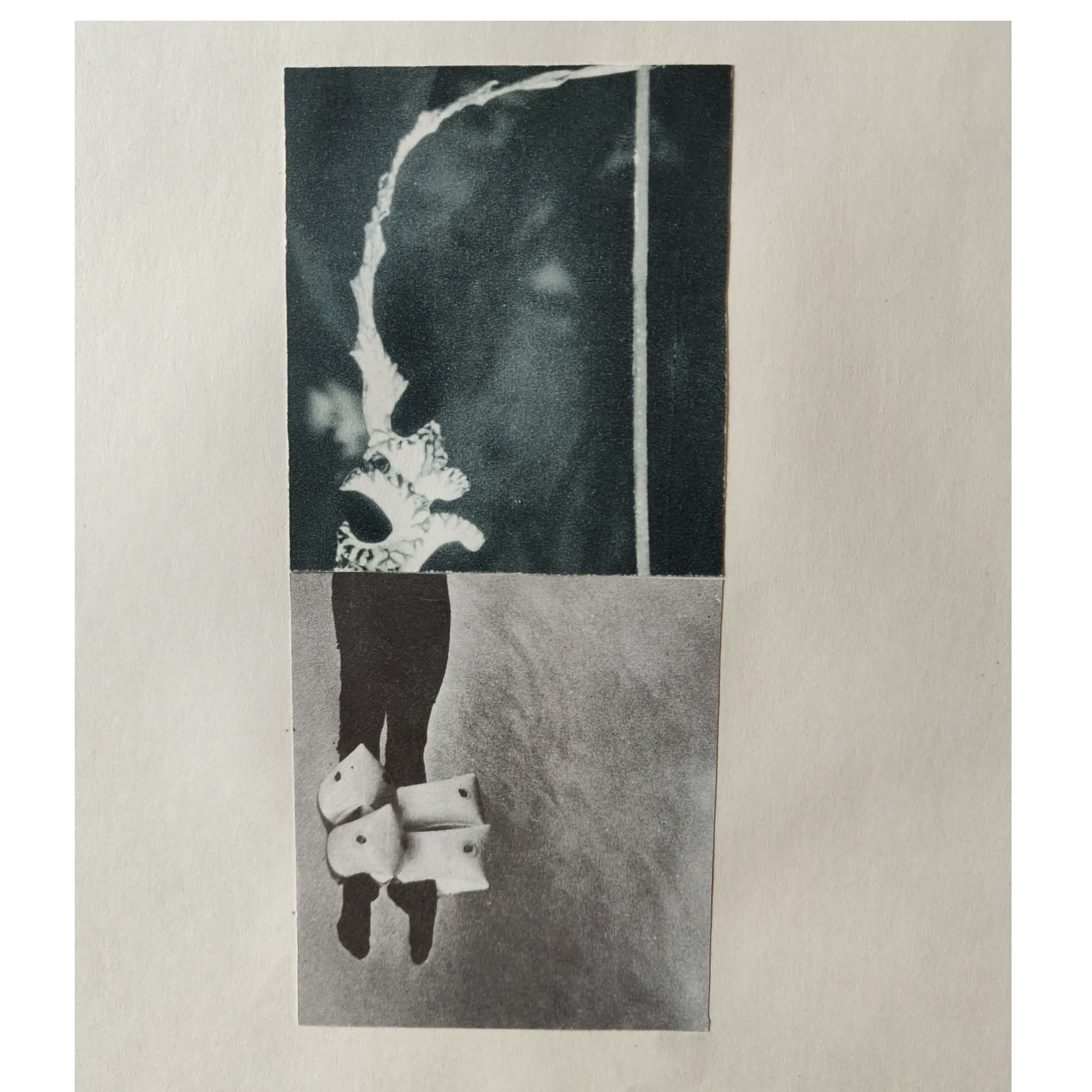 Forms of Life. Collage, May 2020. France