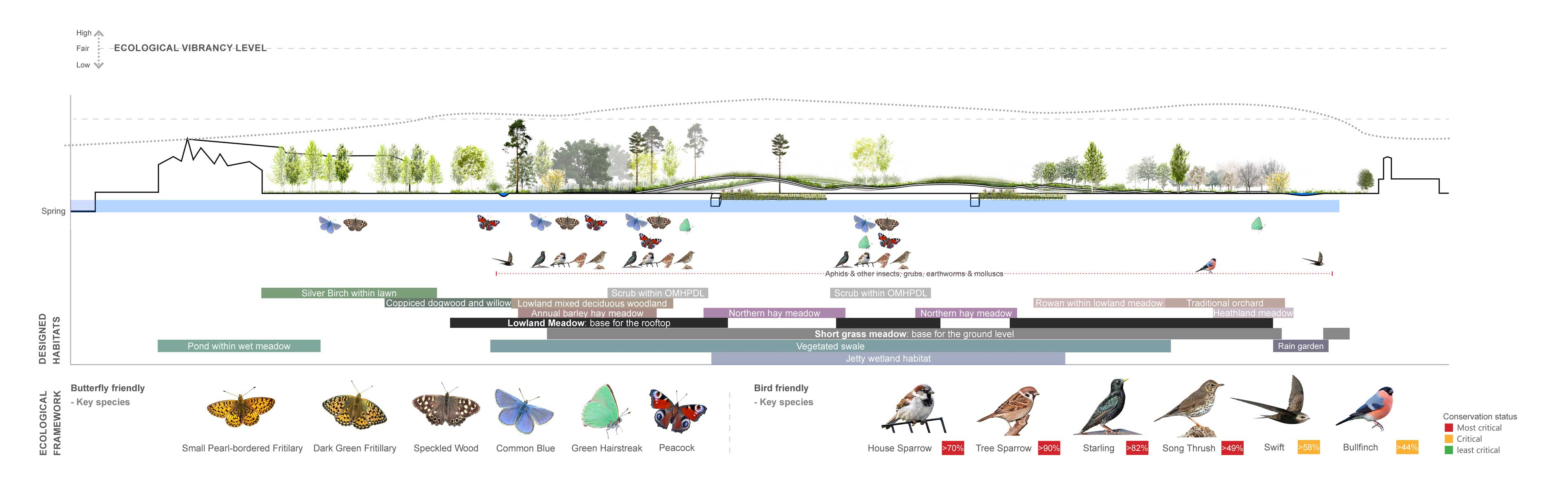 On the water / Ecological framework / Spring