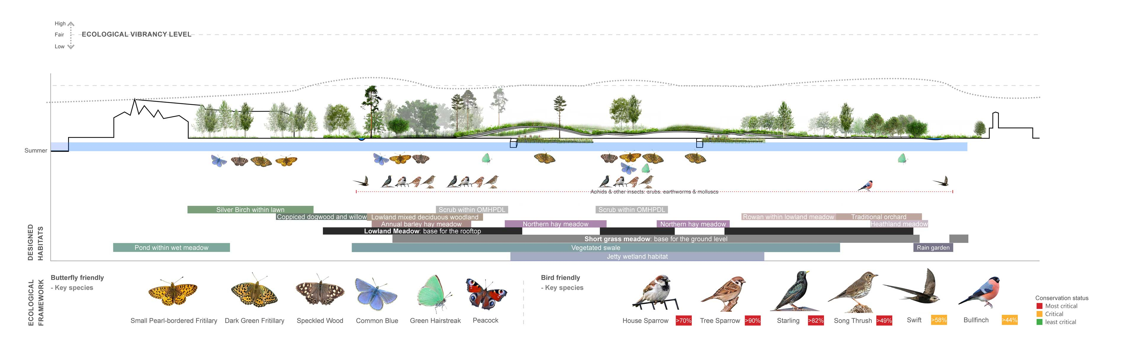 On the water / Ecological framework / Summer