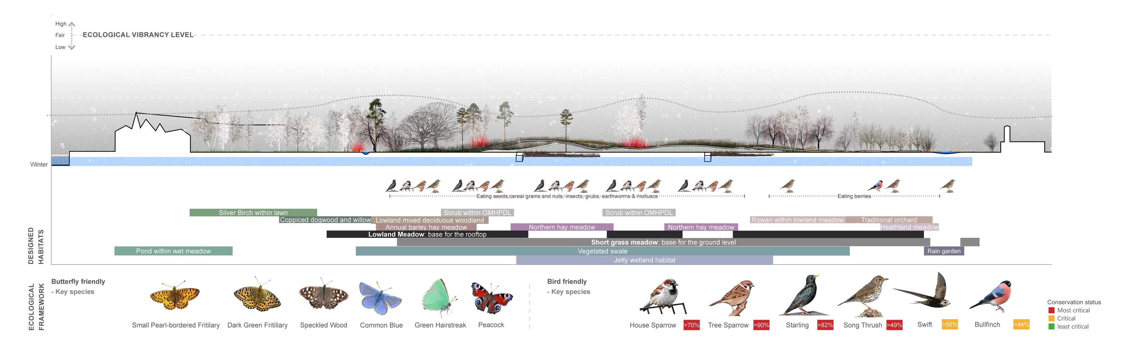On the water / Ecological framework / Winter
