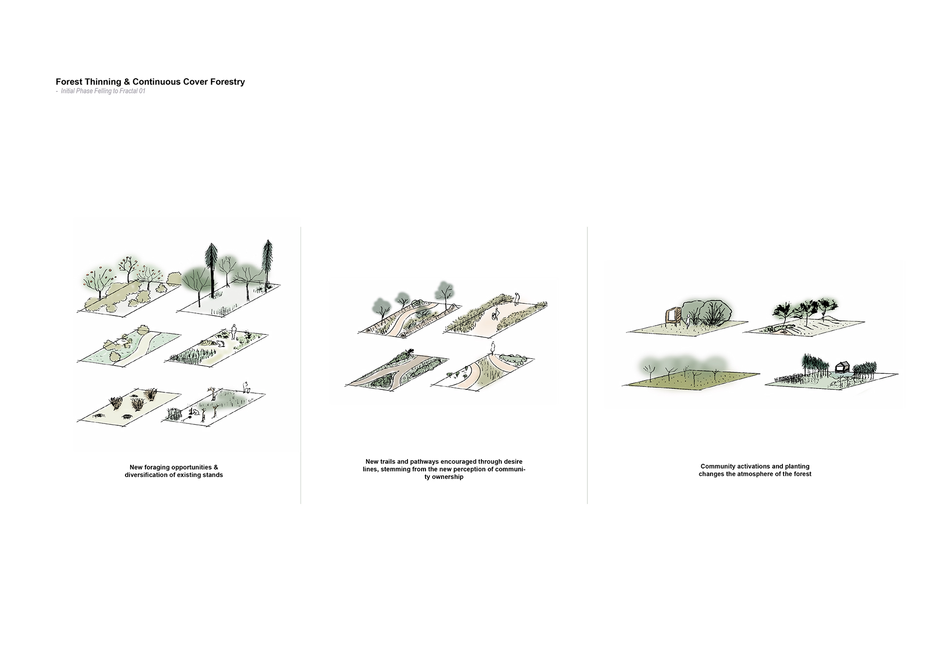 By thinning the existing monoculture, new patterns of usability and ownership can begin to emerge