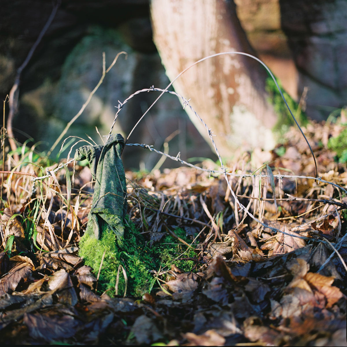 Film photograph of barbed wire at former Michael Colliery site 