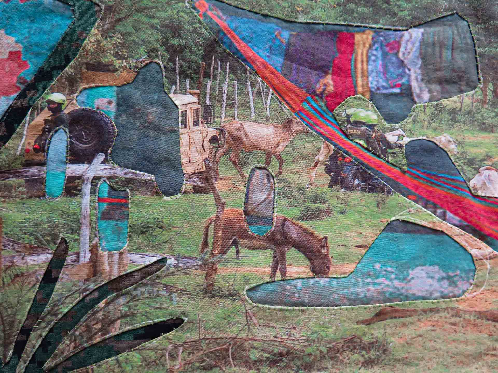 Montes de María Mola detail