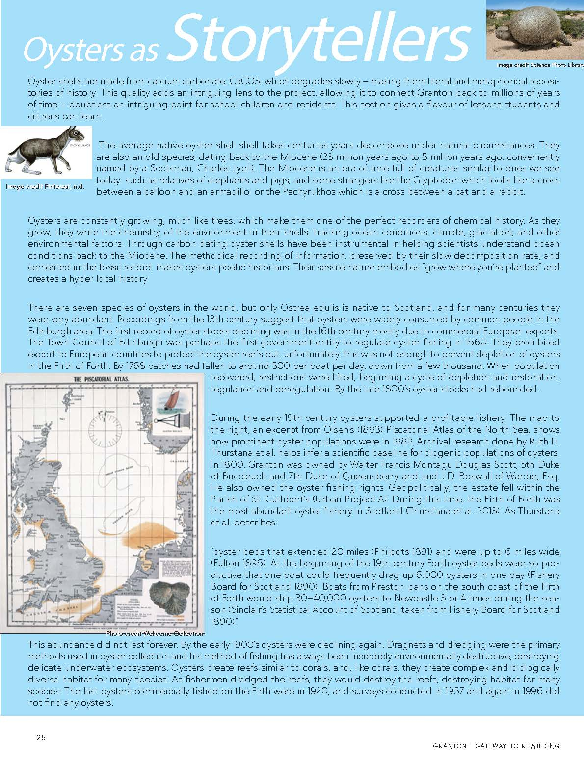 graphic of mostly text discussing native oysters as storytellers. 