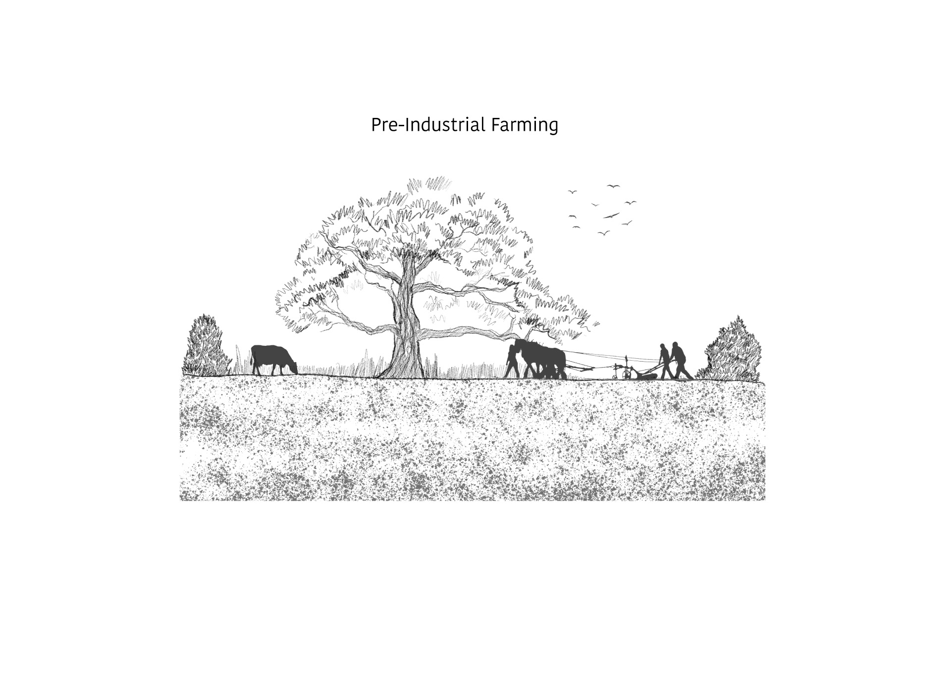 Agricultural Legacy 2 | Pre-Industrial Farming