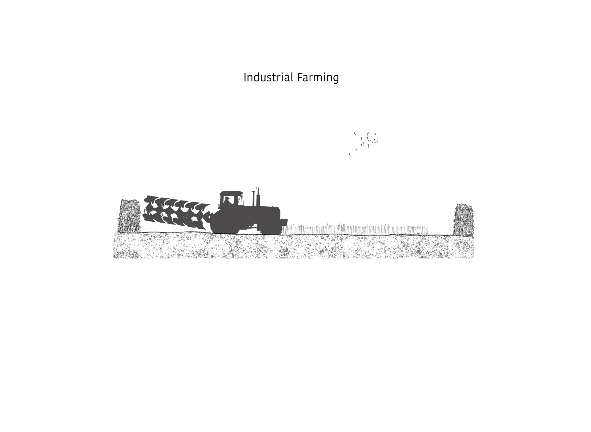 Agricultural Legacy 3 | Industrial Farming