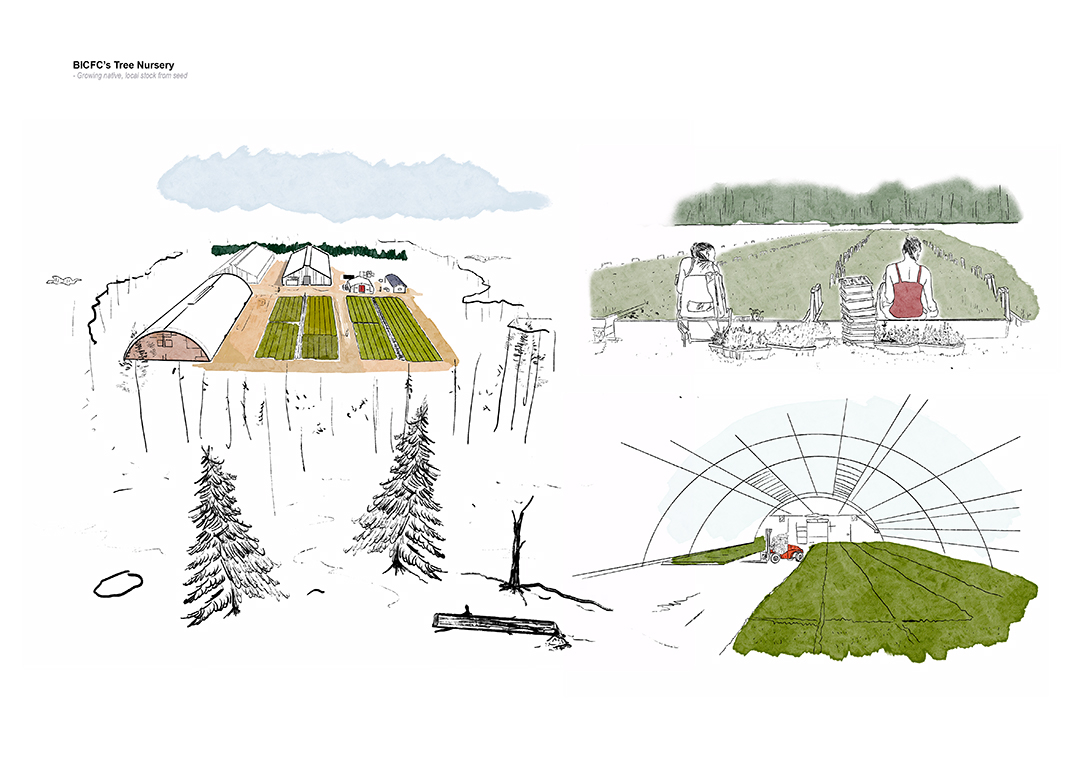 The New Community Tree Nursery - providing native, cost-effective local tree stock for woodland diversification and funding of other local community-owned projects