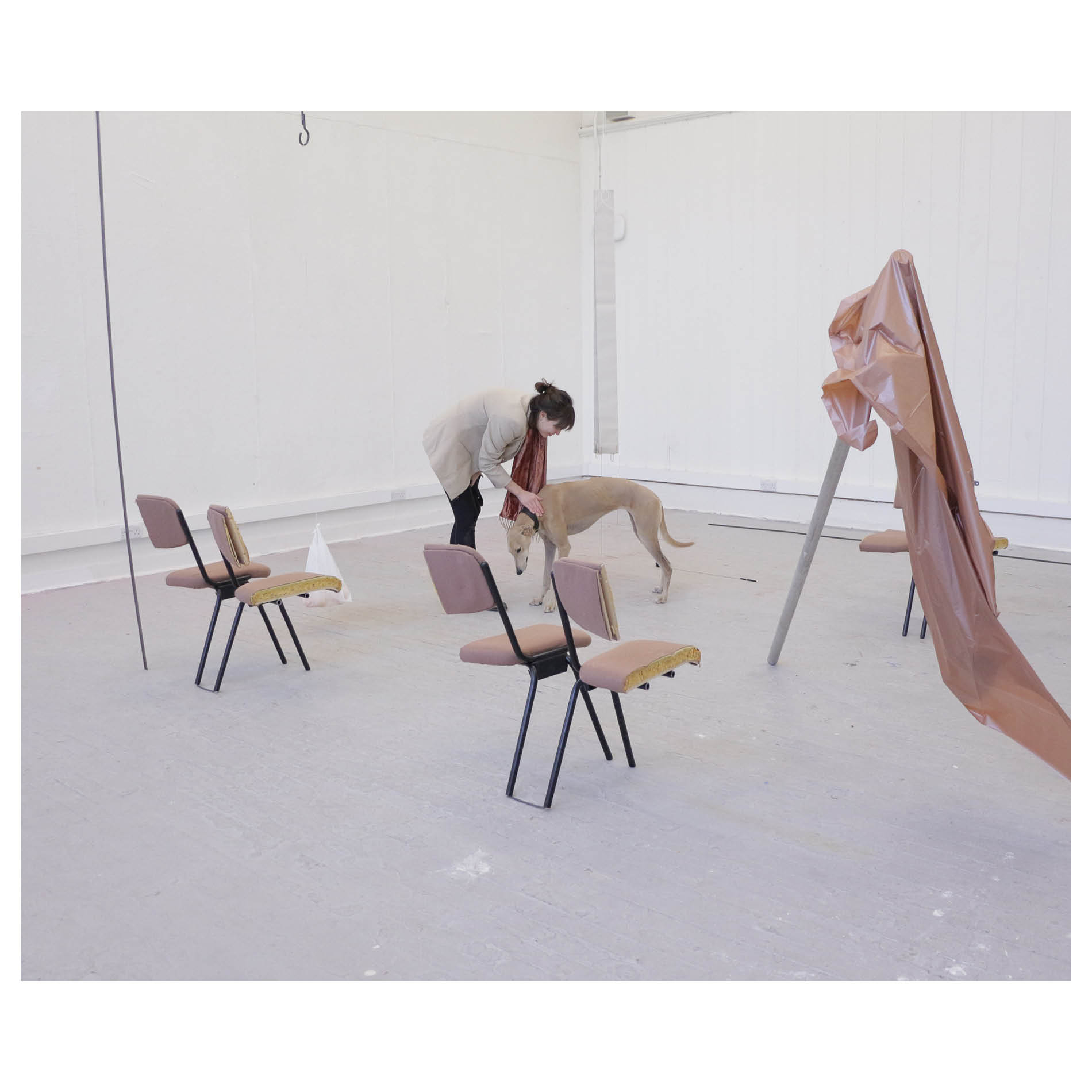 Leash, Control, Mouvement. Installation - Edinburgh College of Art. November 2020.  Photography: Kathrine Cutler-McKenzie and Benjamin Caro. Waiting room chairs, orange bag, metal bars, pen, vertical blinds, greyhound, plastic fabric.