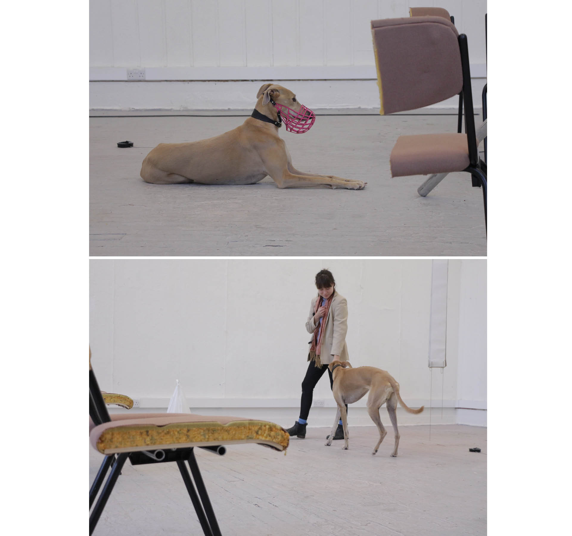 Leash, Control, Mouvement.