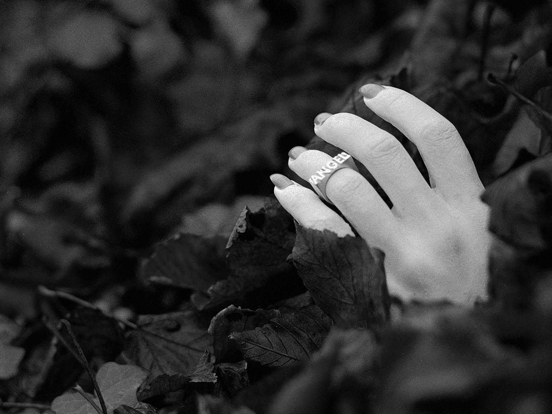 Angel's limp hand emerging from leaves.