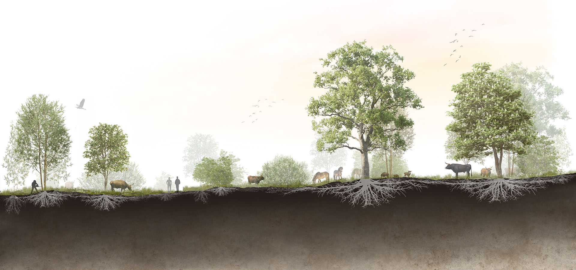 Silvopasture and silvoculture commons