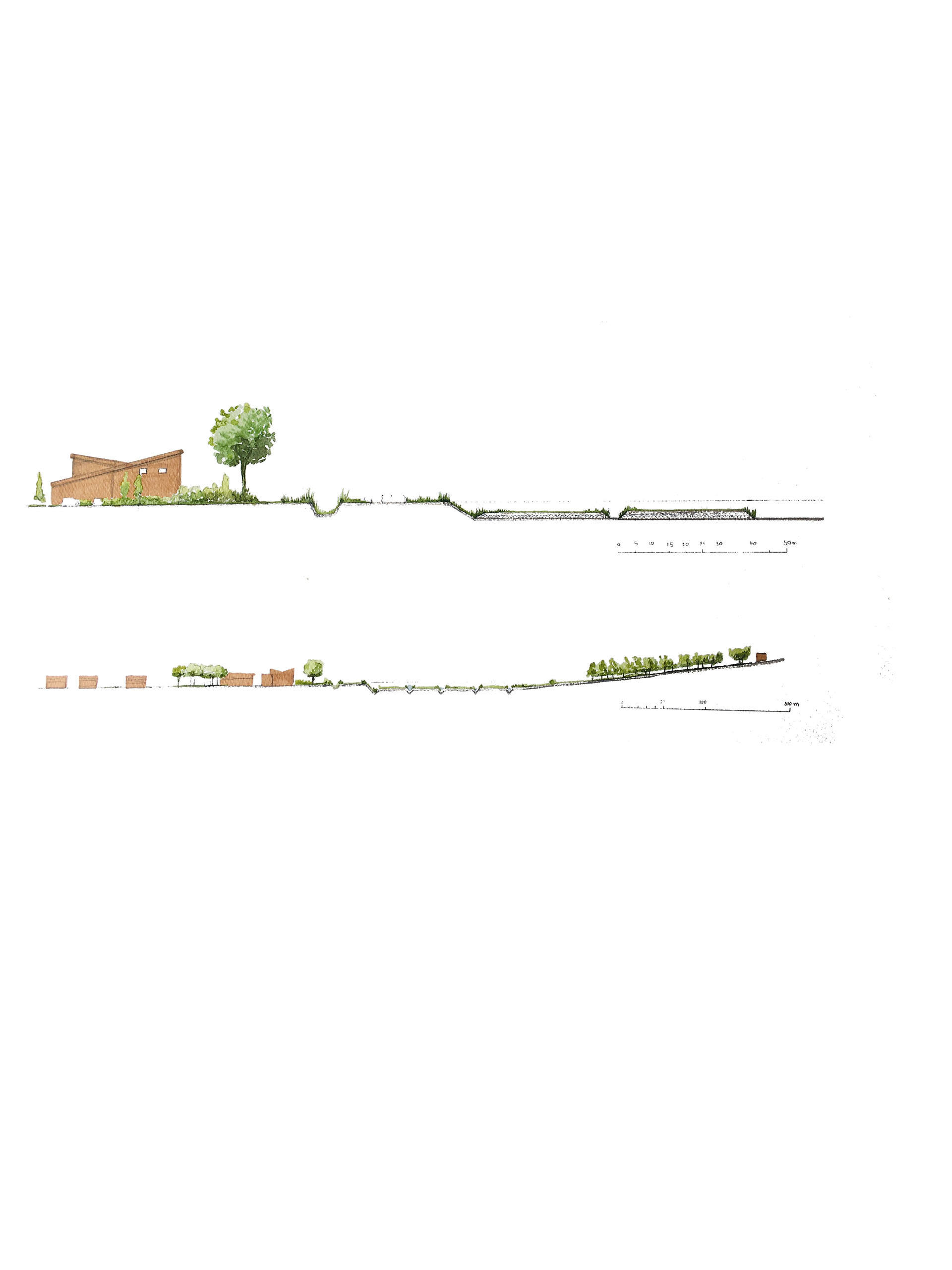 Re-Flow cross sections on the floodplain of the River Peffery