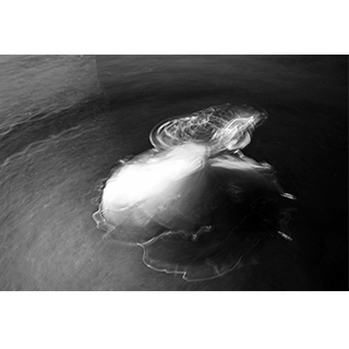 Mars Mechanisation, 2020