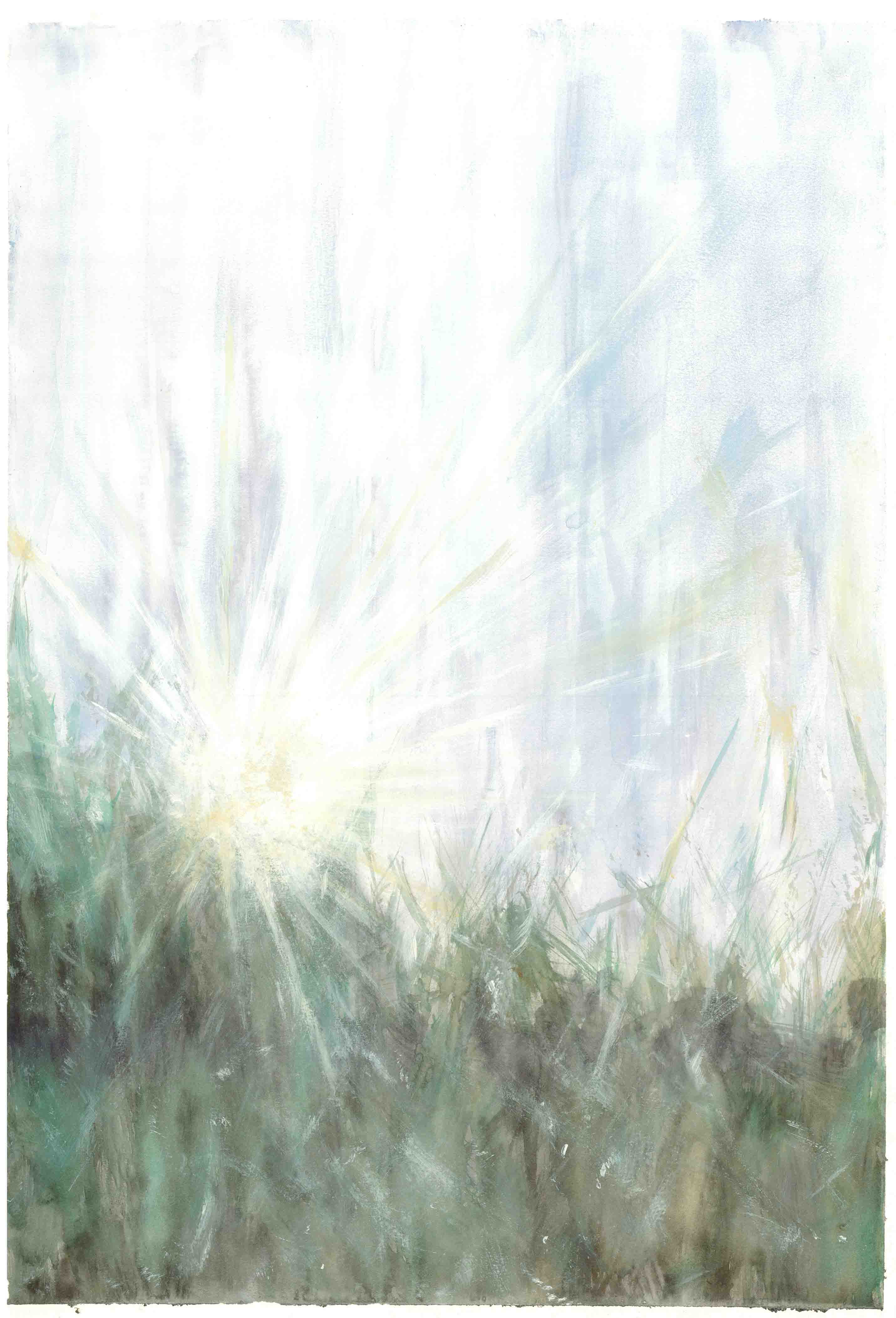 light_08_ZiyuLi
