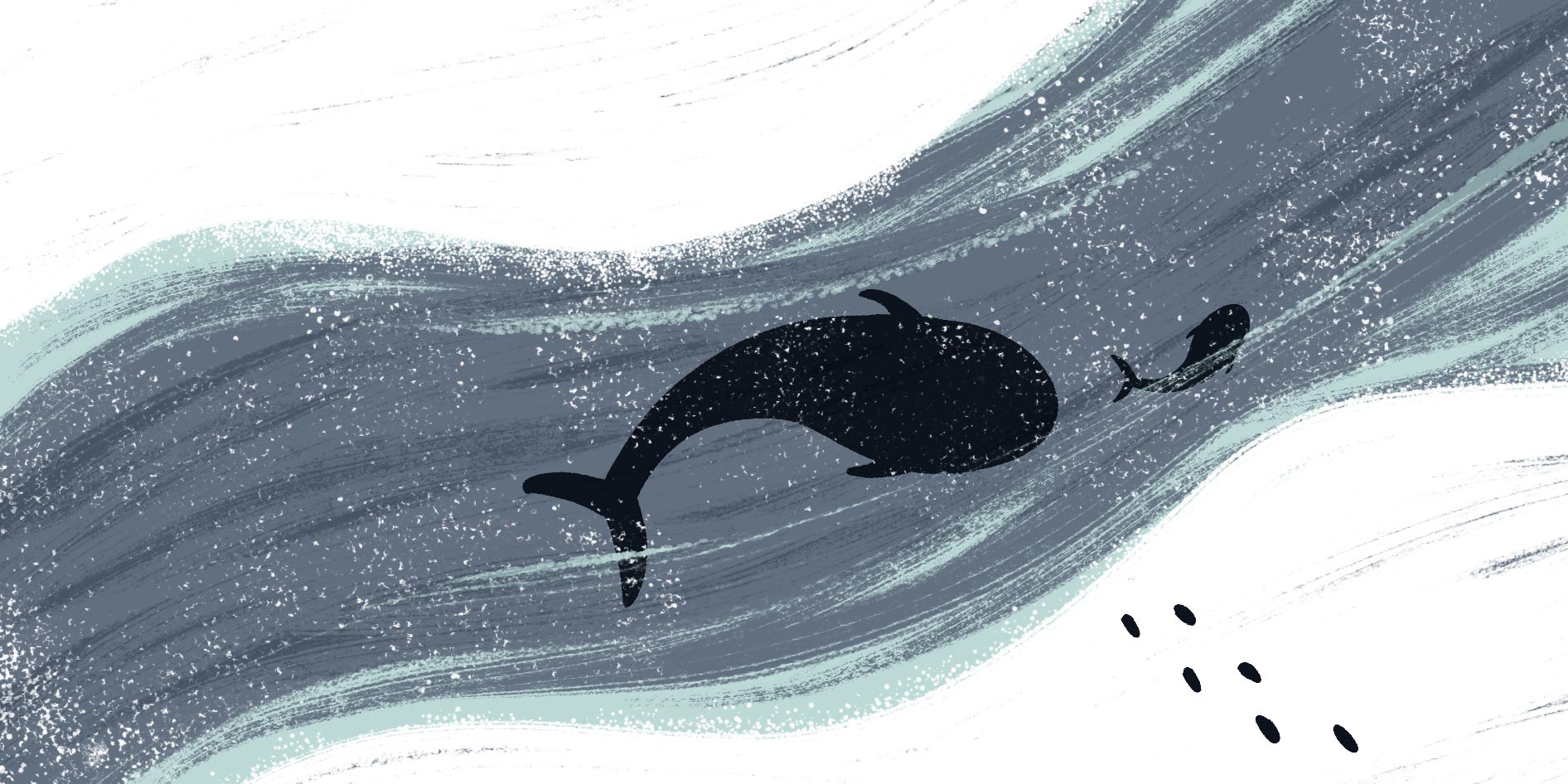 Stachowiak_Monika_Nanook_Wordless_picturebook_2021_06_06_008
