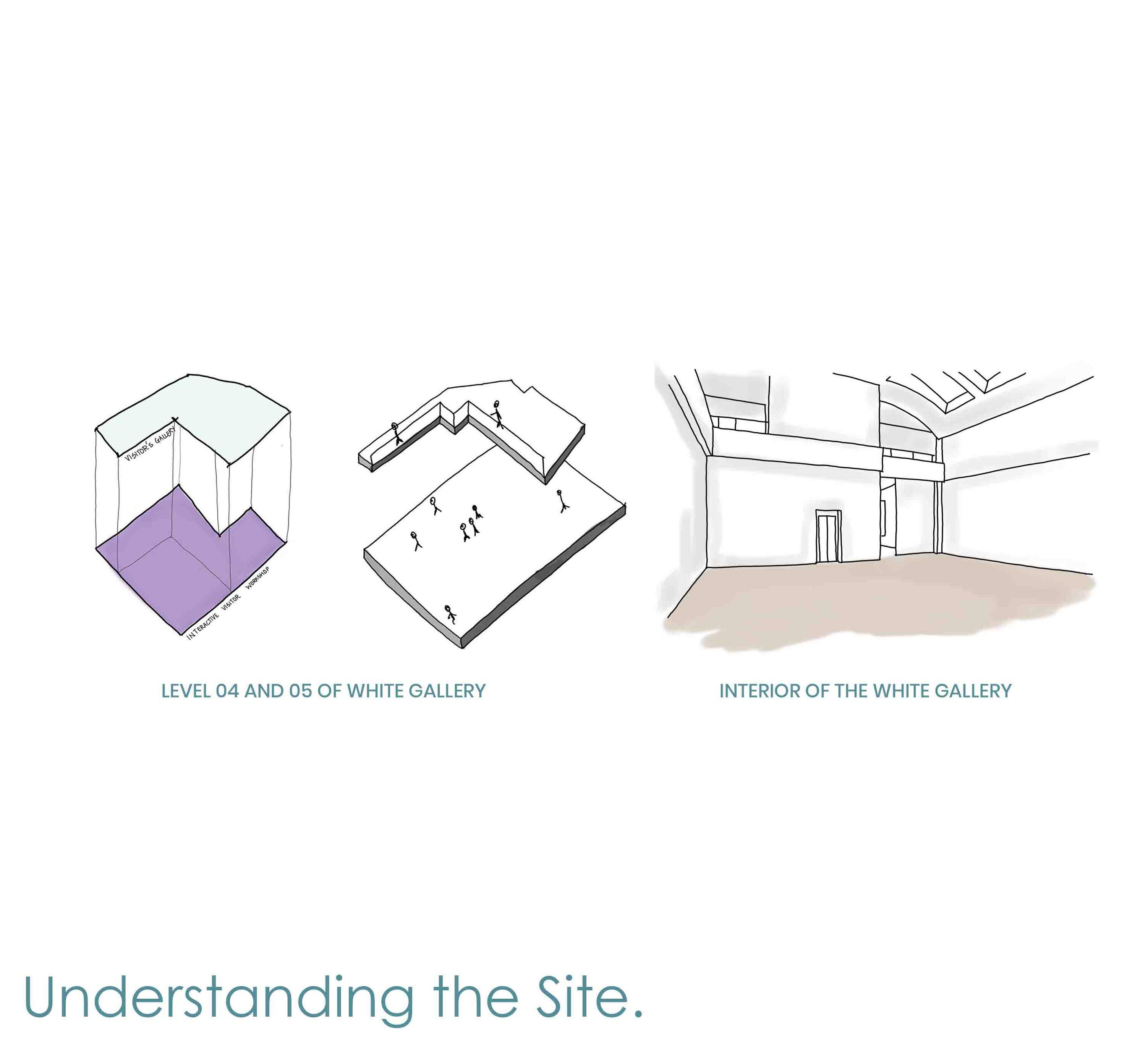 Understanding the Site