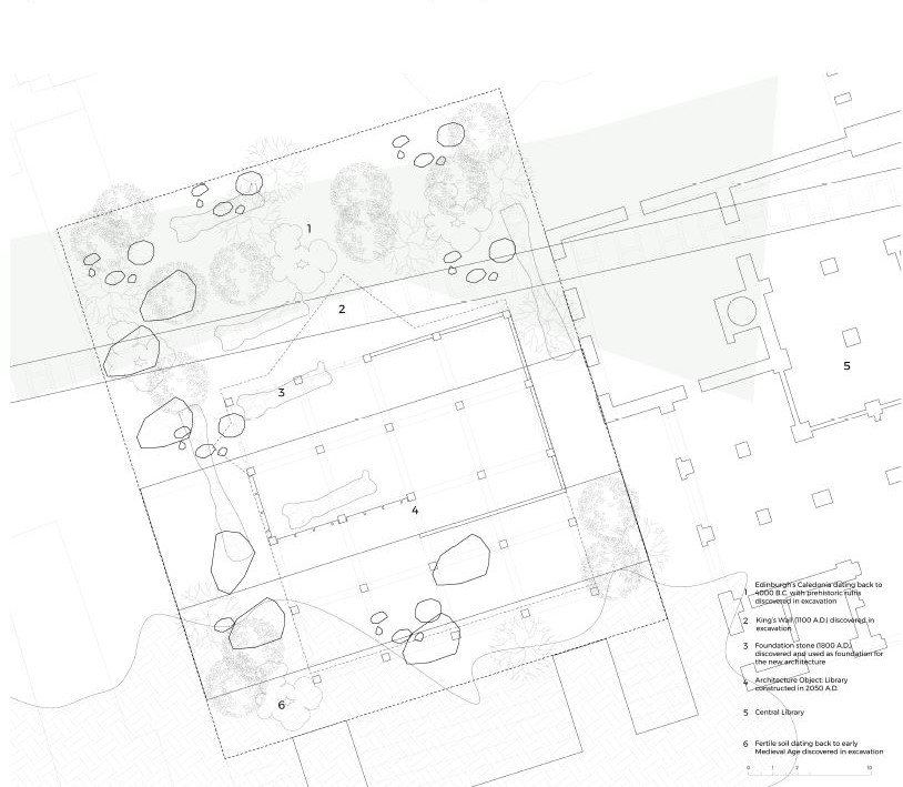 Scale of the Body: The New Library