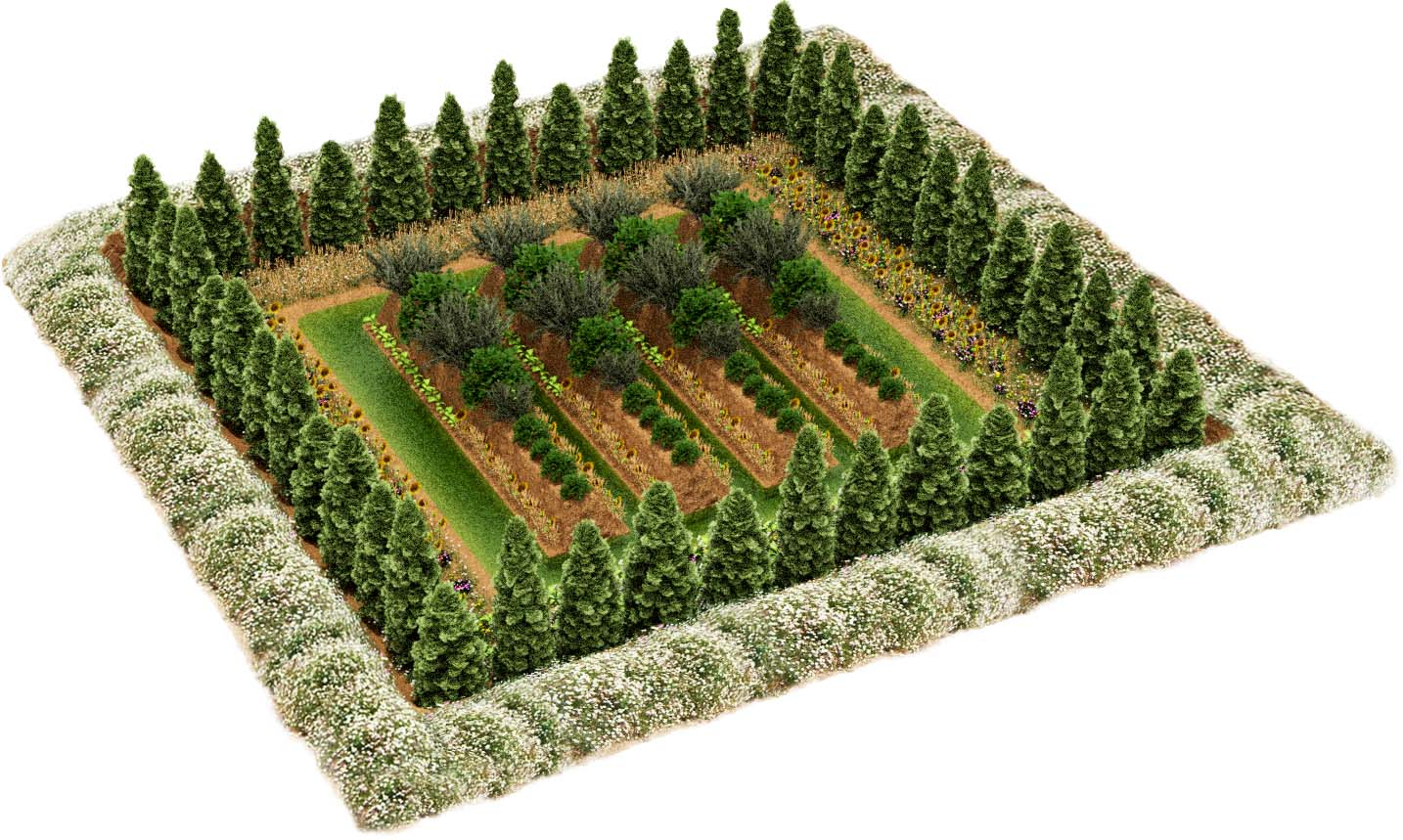 The permaculture system with cooling daisy dune perimeter