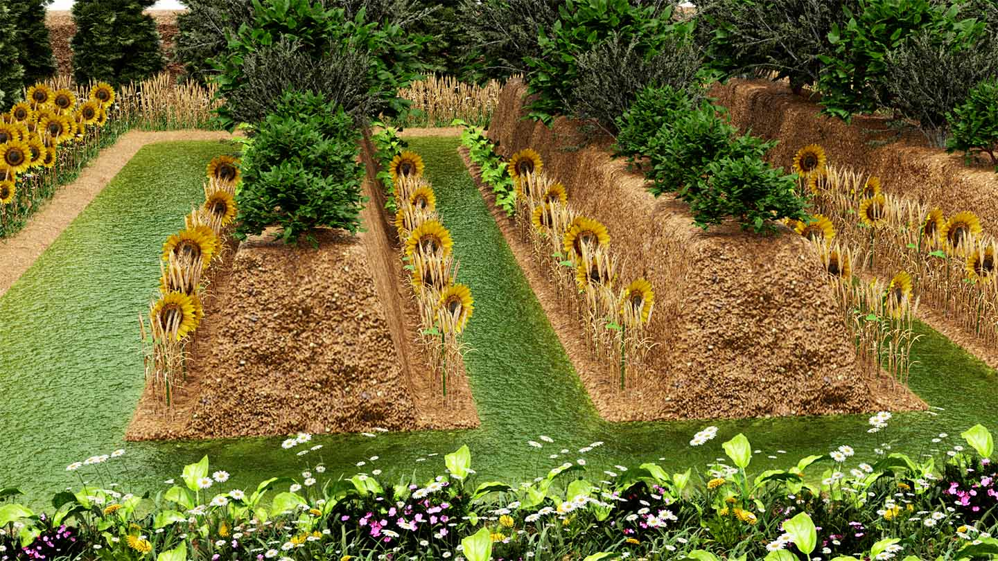 Inside the permaculture system