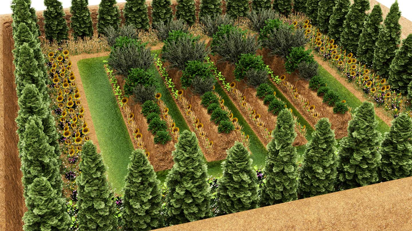 The permaculture system