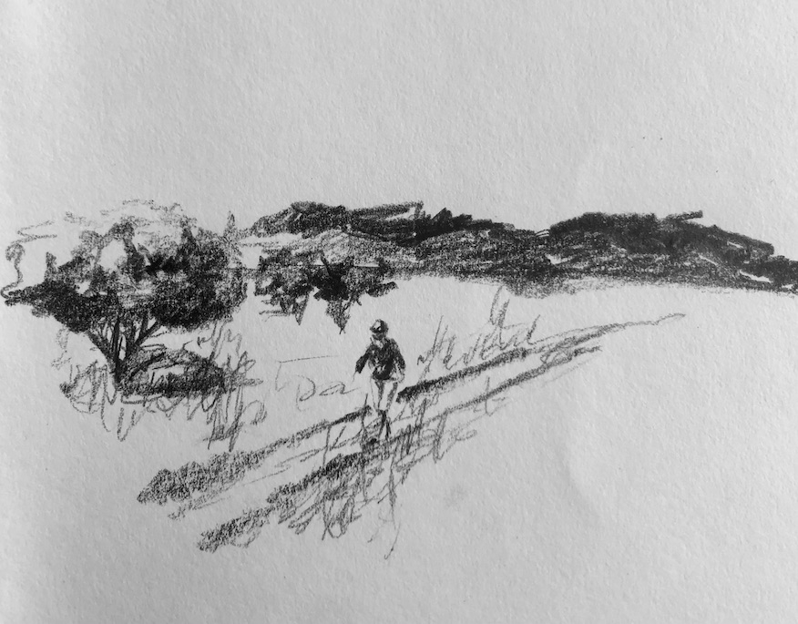 Graphite pencil drawing. 