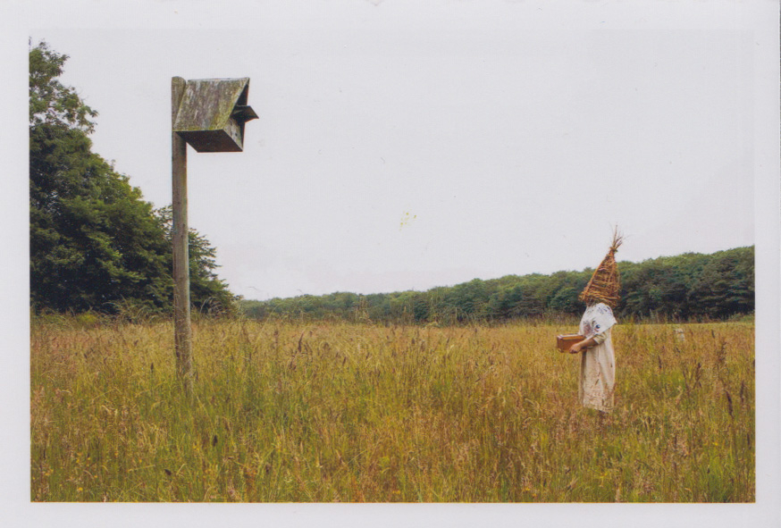 A still from The Wren short film, the straw boy/wren stood facing the owl box in a field, as opposites, as a unison