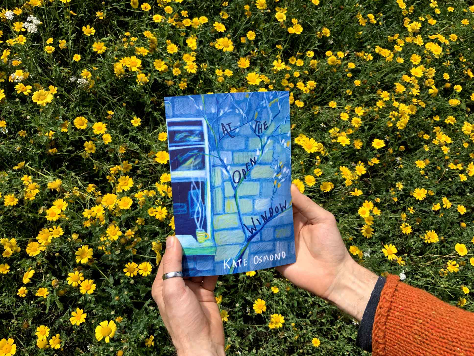 Two hands hold a copy of a slim A5 sized book above a field of flowers. The book is blue with a tree and a window on it.