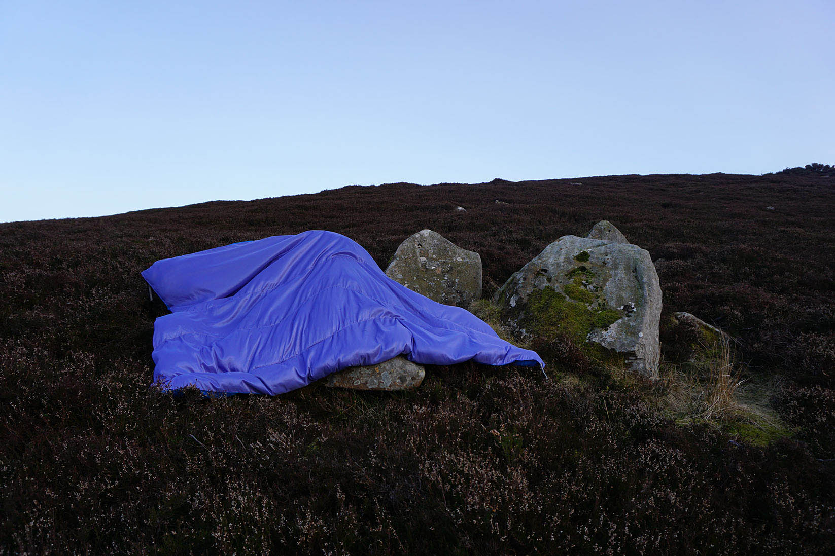 Lilac Taffeta stuffed sculpture lying on the topography of a Moore of heather