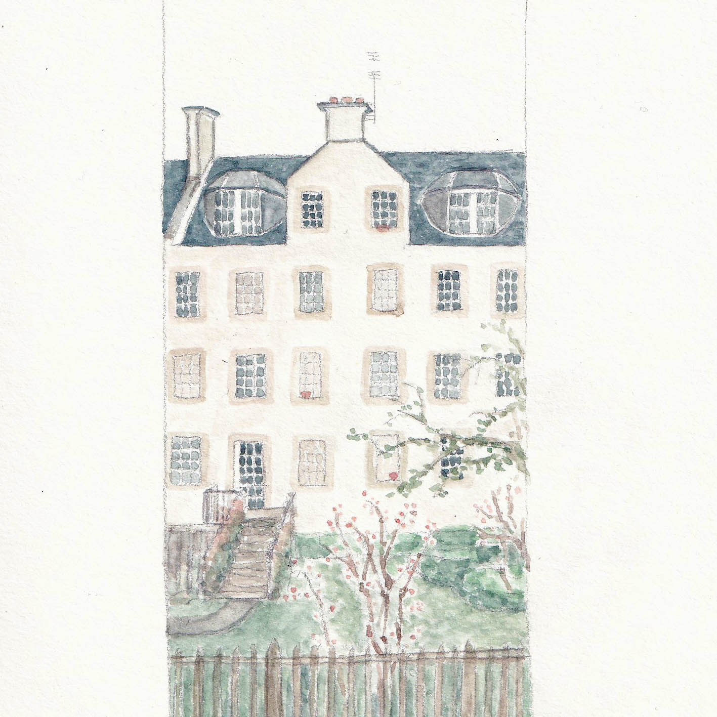 pandemic life illustration7