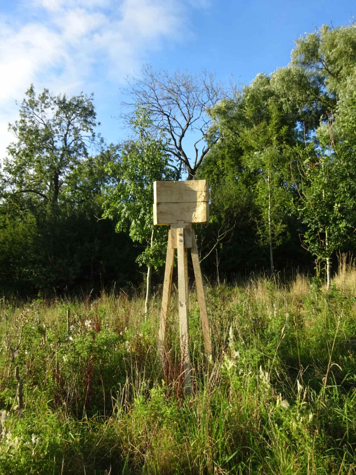 A tall wooden sculpture stood in a green field.