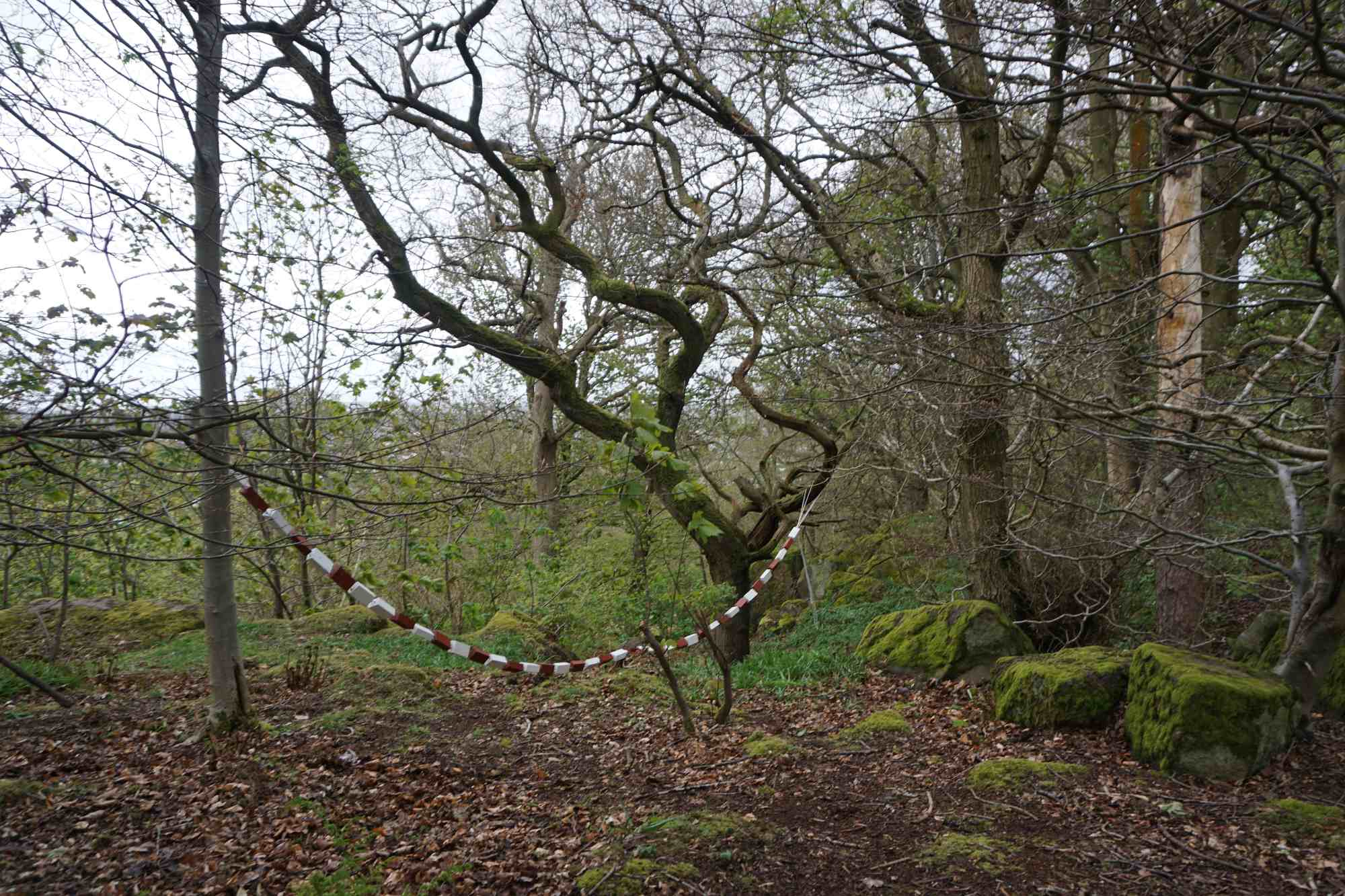 Red and White Wooden Chain drooped in a shallow arc.