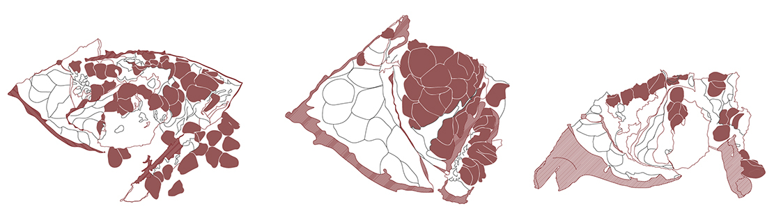 Set of 3 Pomegranate Drawings