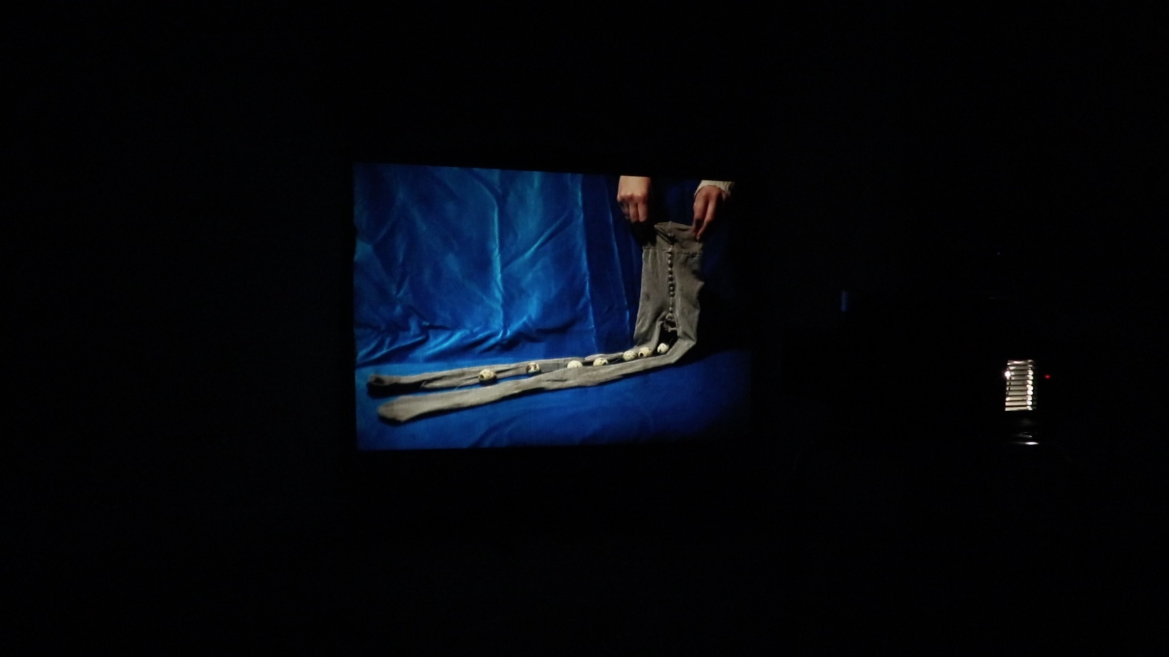 Slide projection of silver tights against blue velvet backdrop with a string of quails eggs attached to the crotch.