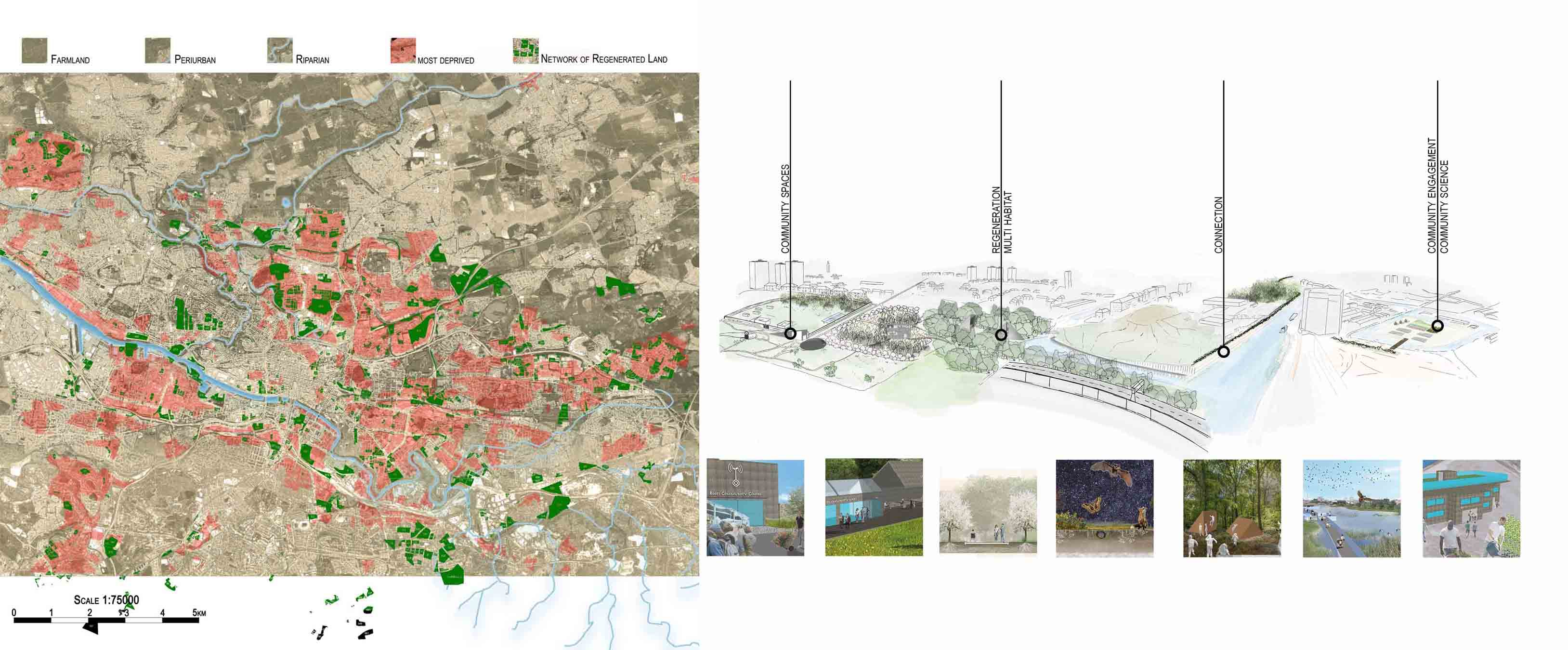 Regeneration and Solutuons